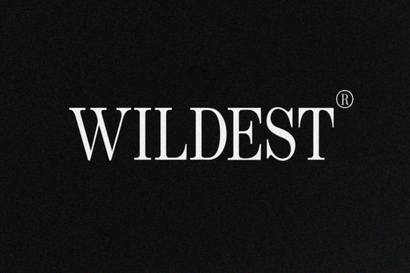 Discovering Wildest: A Versatile Serif for Modern Creators
